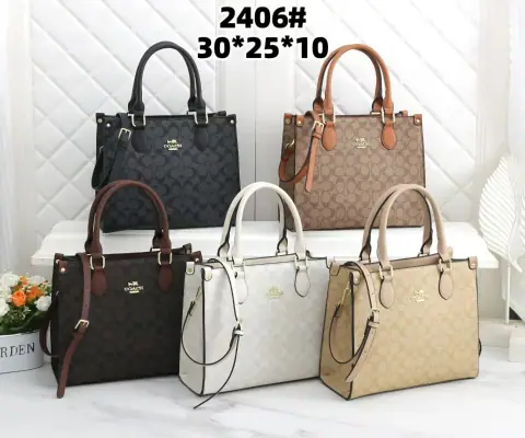 Coach Classic Signature Tote Bag · Coach