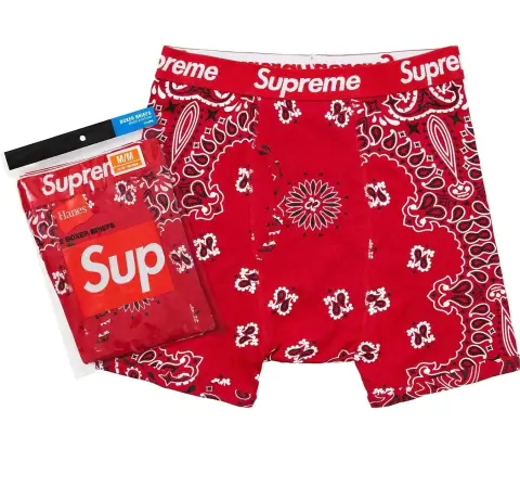 Supreme x Hanes Bandana Boxer Briefs · Supreme