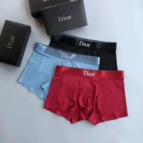 Dior Logo Waistband Boxer Briefs · Dior